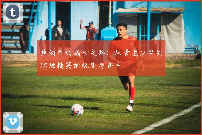 焦泊乔的成长之路：从青涩少年到职场精英的蜕变与奋斗