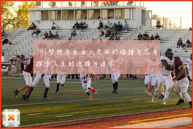 301梦想与自由人之间的碰撞与思考探索人生的选择与追求