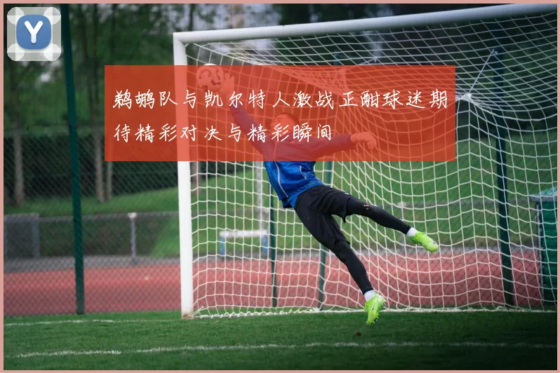 鹈鹕队与凯尔特人激战正酣球迷期待精彩对决与精彩瞬间