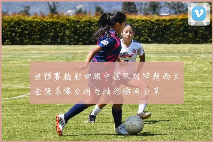 世预赛精彩回顾中国队对阵新西兰全场录像分析与精彩瞬间分享