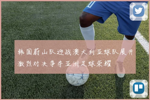 韩国蔚山队迎战澳大利亚球队展开激烈对决争夺亚洲足球荣耀