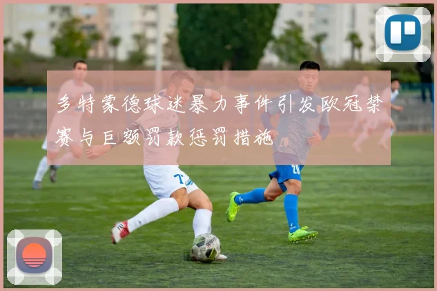 多特蒙德球迷暴力事件引发欧冠禁赛与巨额罚款惩罚措施