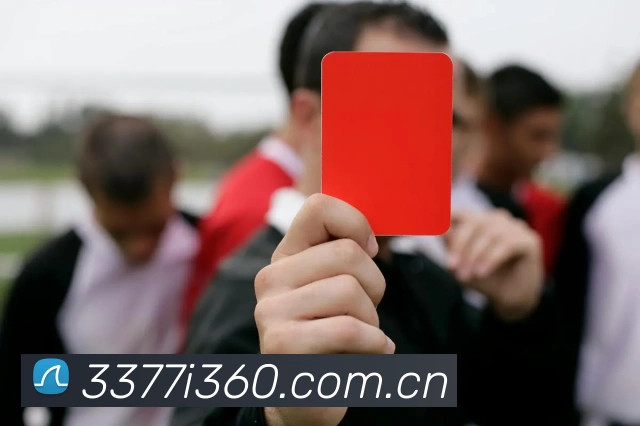 3377体育平台生态图